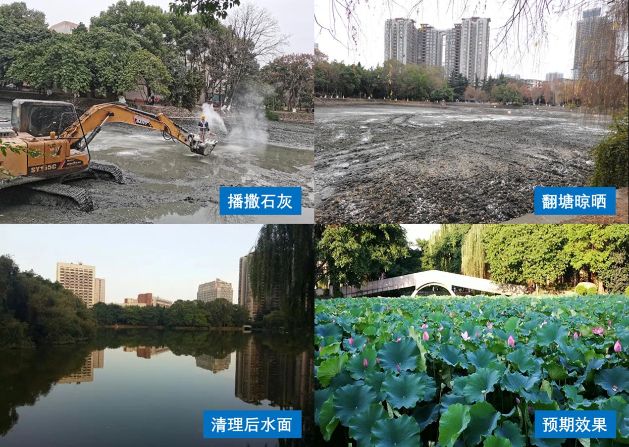 网赌平台推荐
